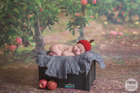 Backdrop - Apple Orchard
