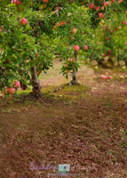 Backdrop - Apple Orchard