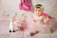 Backdrop - Butterfly Roses