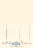 Backdrop - Custom Colors, You Choose - Wood Floor & Wall, All In One