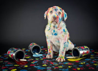 Backdrop - Dark Grey Foggy Portrait