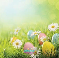 Backdrop - Easter Vinyl Photography Backdrop-20