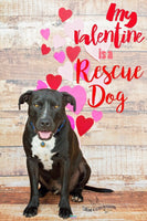 Backdrop - Heritage Planks