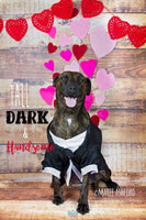 Backdrop - Heritage Planks