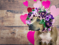 Backdrop - Heritage Wood Planks