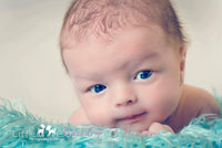 Backdrop - Ivory Solid Color