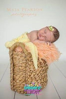 Backdrop - Light Cream Wood Floor Planks