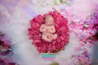 Backdrop - Luscious Lilac