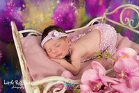 Backdrop - Painted Violets