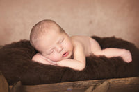 Backdrop - Perfect Portrait Cocoa