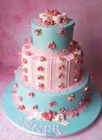 Backdrop - Perfect Portrait Rose Canvas