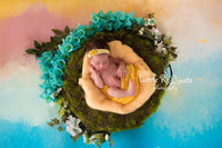 Backdrop - Sunset Fields Sky