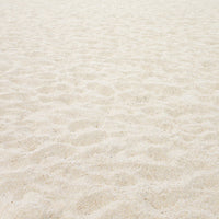 Beach Sand