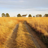 Fields of Hay