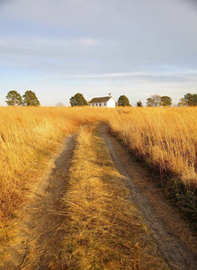 Fields of Hay