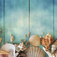 Sea Shells