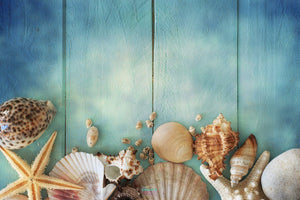 Sea Shells