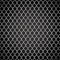 Wire Fence