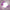 Backdrop - Amelia Floral Wreath