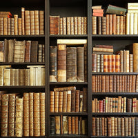 Backdrop - Antique Books On A Shelf