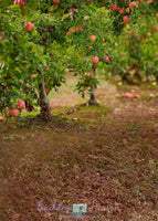 Backdrop - Apple Orchard
