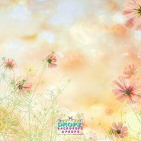 Backdrop - Apricot Dreams