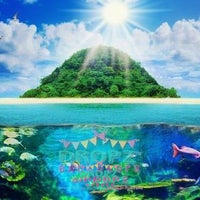 Backdrop - Aquarium Beach Portrait