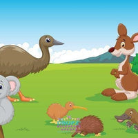 Backdrop - Australian Animal Backdrop