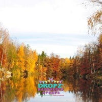 Backdrop - Autumn Lake