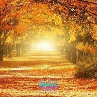 Backdrop - Autumn Lane