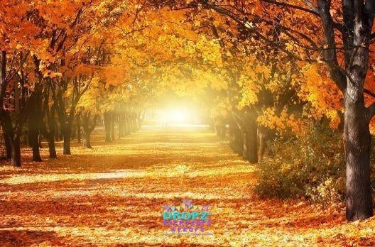 Backdrop - Autumn Lane