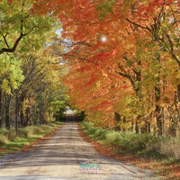 Backdrop - Autumn Road