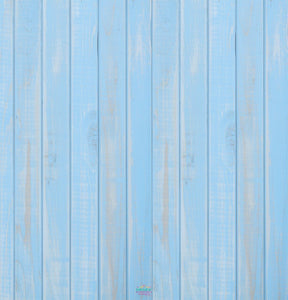 Backdrop - Baby Blue Wooden Planks