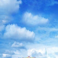 Backdrop - Blue Cloudy Sky Portrait