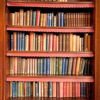Backdrop - Books On A Bookshelf