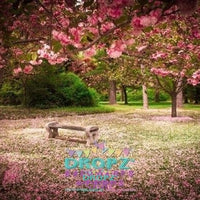 Backdrop - Cherry Blossom Bench