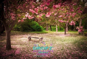 Backdrop - Cherry Blossom Bench