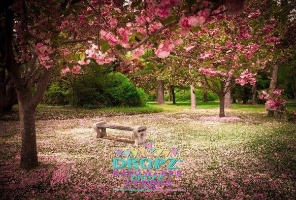 Backdrop - Cherry Blossom Bench