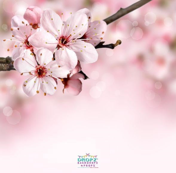 Backdrop - Cherry Blossom Branch