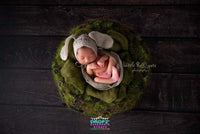 Backdrop - Chocolate Wooden Planks All In One
