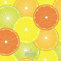 Backdrop - Citrus Fruit Collage