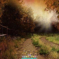 Backdrop - Country Lane