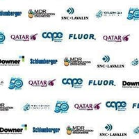 Backdrop - Custom Logo Red Carpet Background