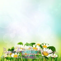Backdrop - Daisy Fields