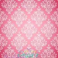 Backdrop - Damask Princess