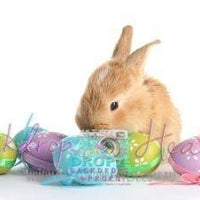 Backdrop - Easter Vinyl Photography Backdrop-10