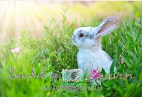 Backdrop - Easter Vinyl Photography Backdrop-21