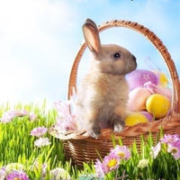 Backdrop - Easter Vinyl Photography Backdrop-4