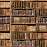 Backdrop - Faded Books Library Background