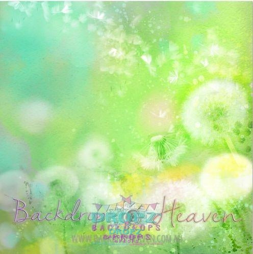 Backdrop - Fairy Fluff